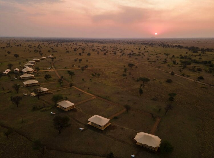 Dove Serengeti Camp