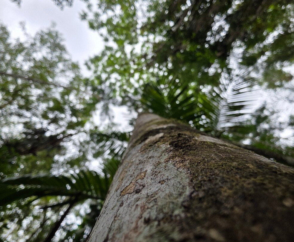 Estrada Real-帕拉地必去景点