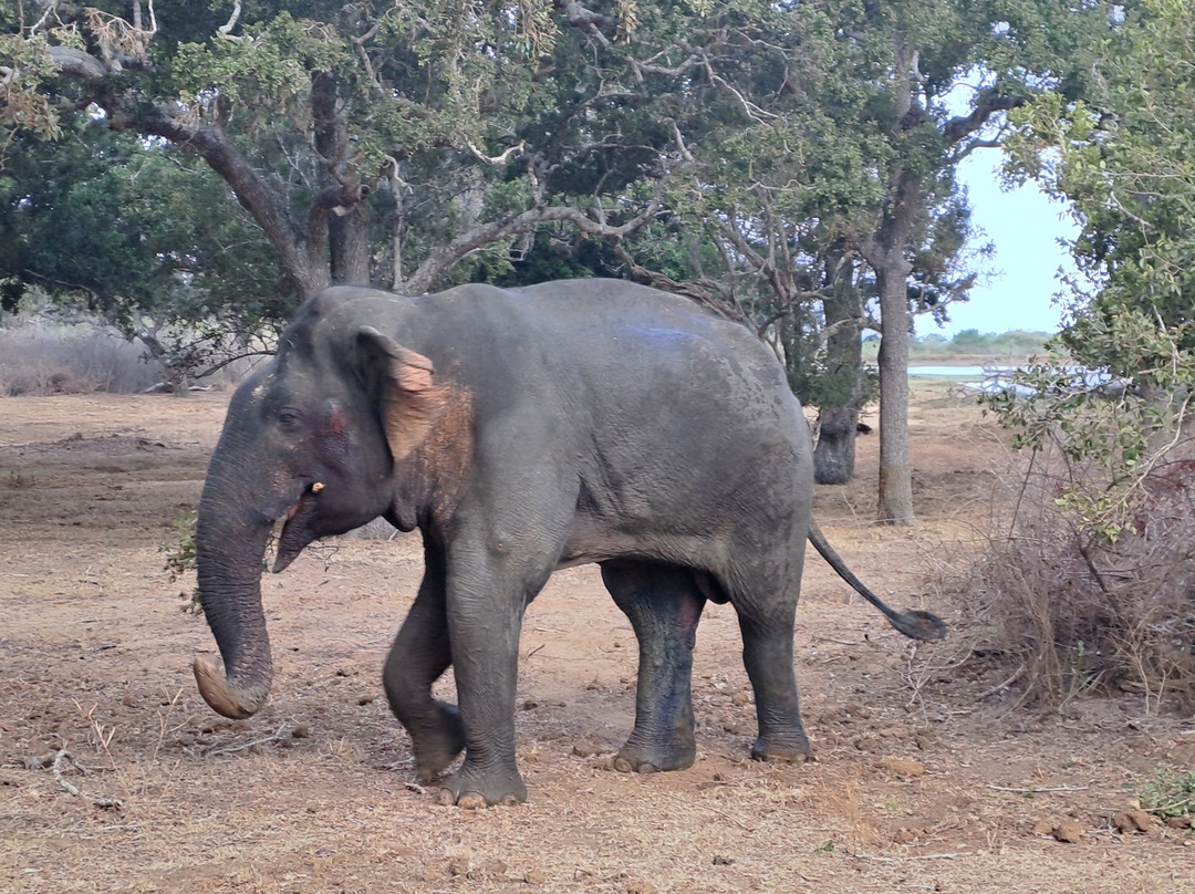 One & Only Travels-Kurunegala必去景点