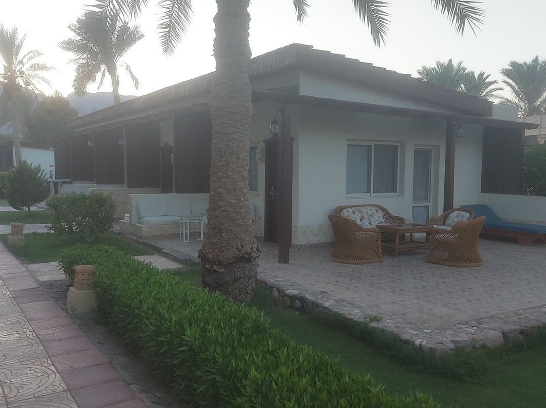 Nuweiba Club Resort主图