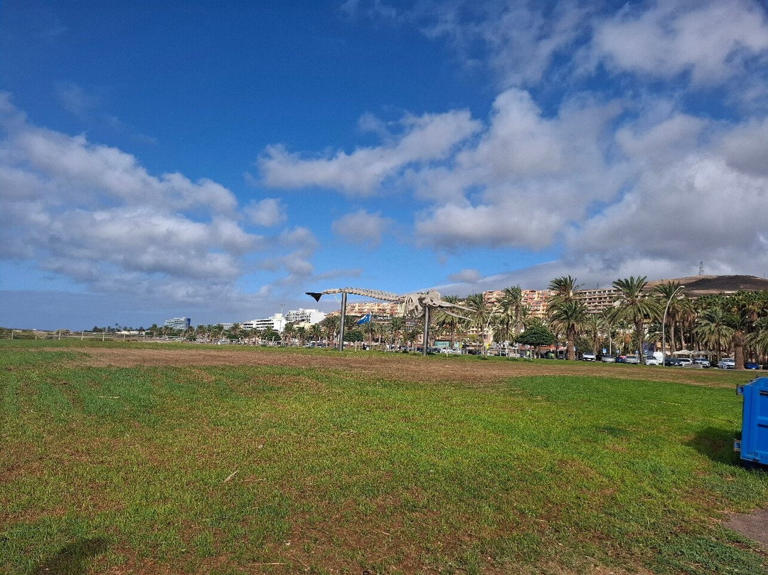 Playa Morro Jable