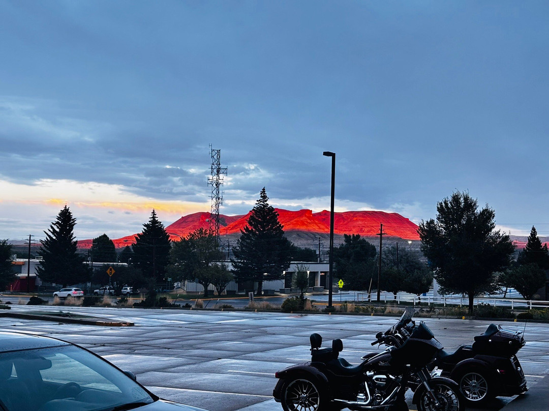 Little Bear Motel主图