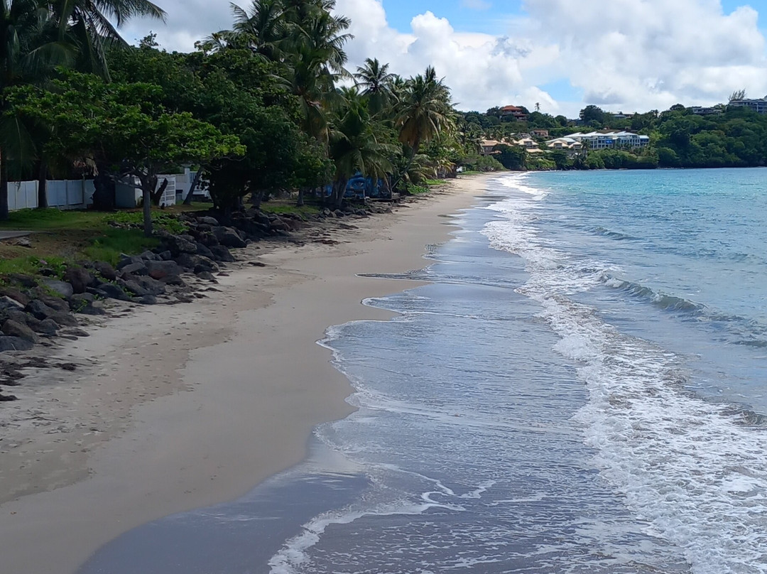 BUGGY Quad Martinique-Le Diamant必去景点