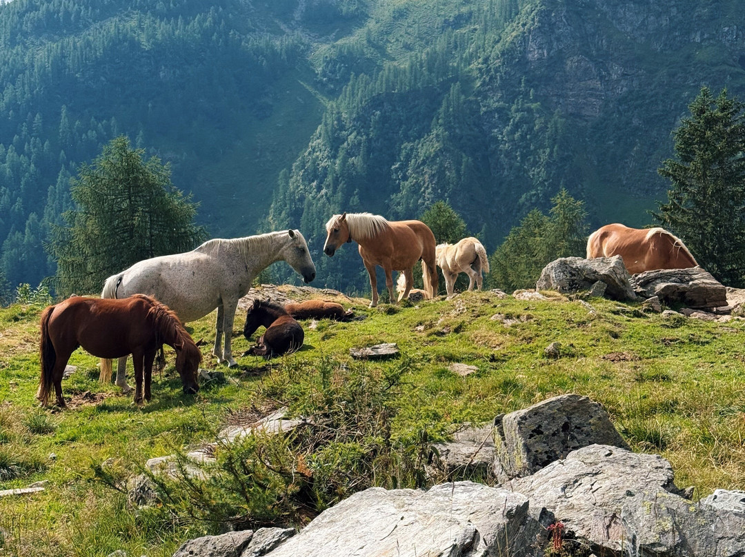 Campo Base Travel & Holiday-Dimaro Folgarida必去景点