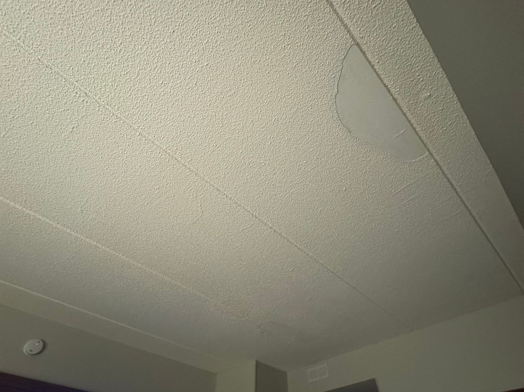 Best Western Bridgeview Hotel主图