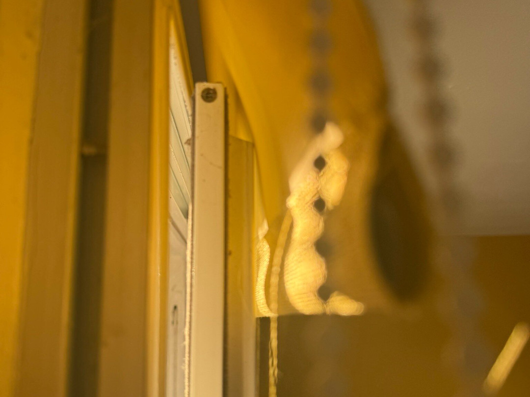 The London Inn主图