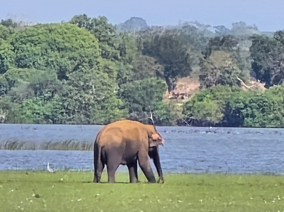 Kanishka Prabath-奴娃拉伊利雅必去景点