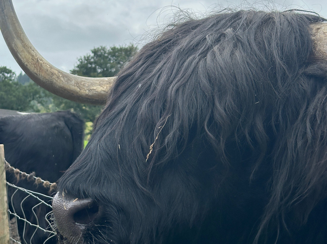 Your Scotland Tour-Kirkliston必去景点