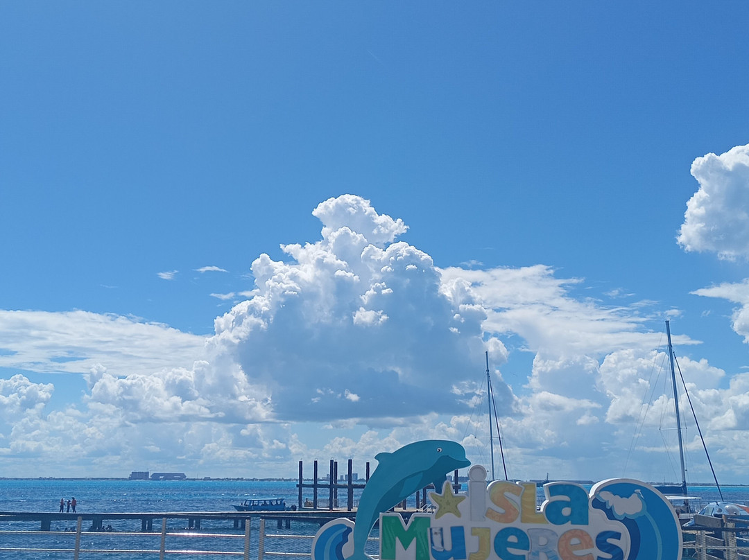 海豚发现秀-坎昆必去景点