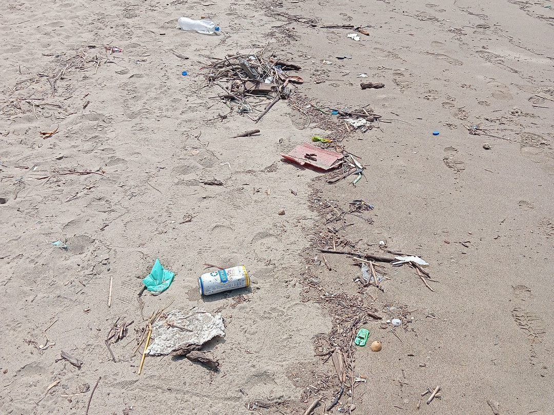 Playa San Pedrito-曼萨尼约必去景点