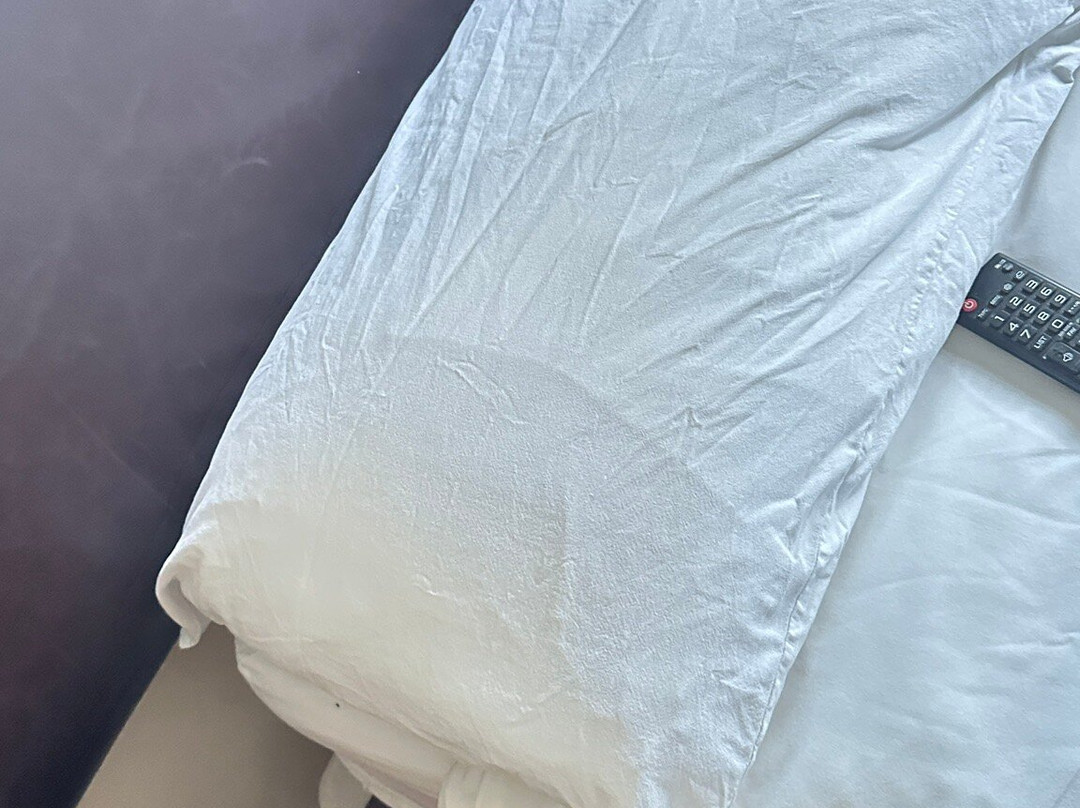 伯明翰玫瑰与皇宫老酒店主图