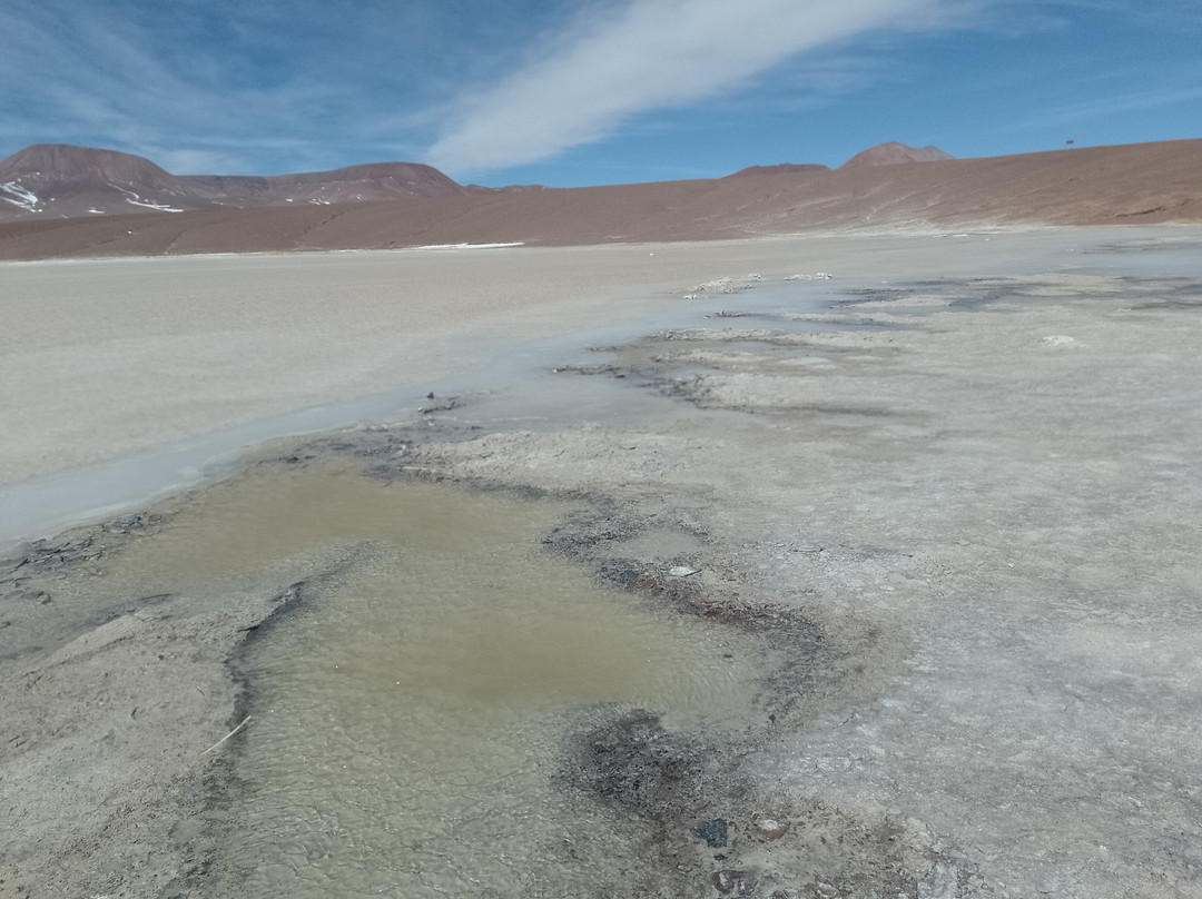 Laguna Brava Provincial Reserve-拉里奥哈必去景点