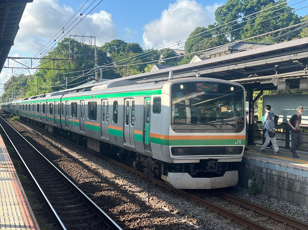 Japan Wonder Travel-Tsukiji必去景点