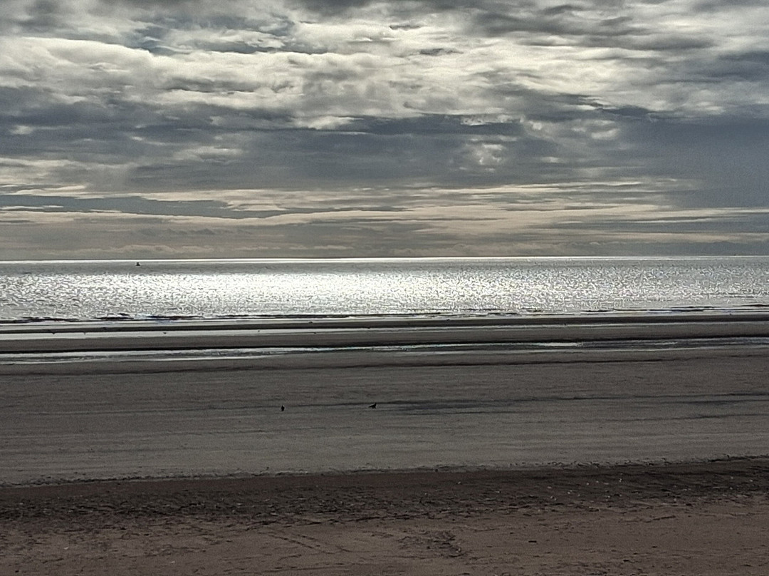 The Seacourt Hotel主图