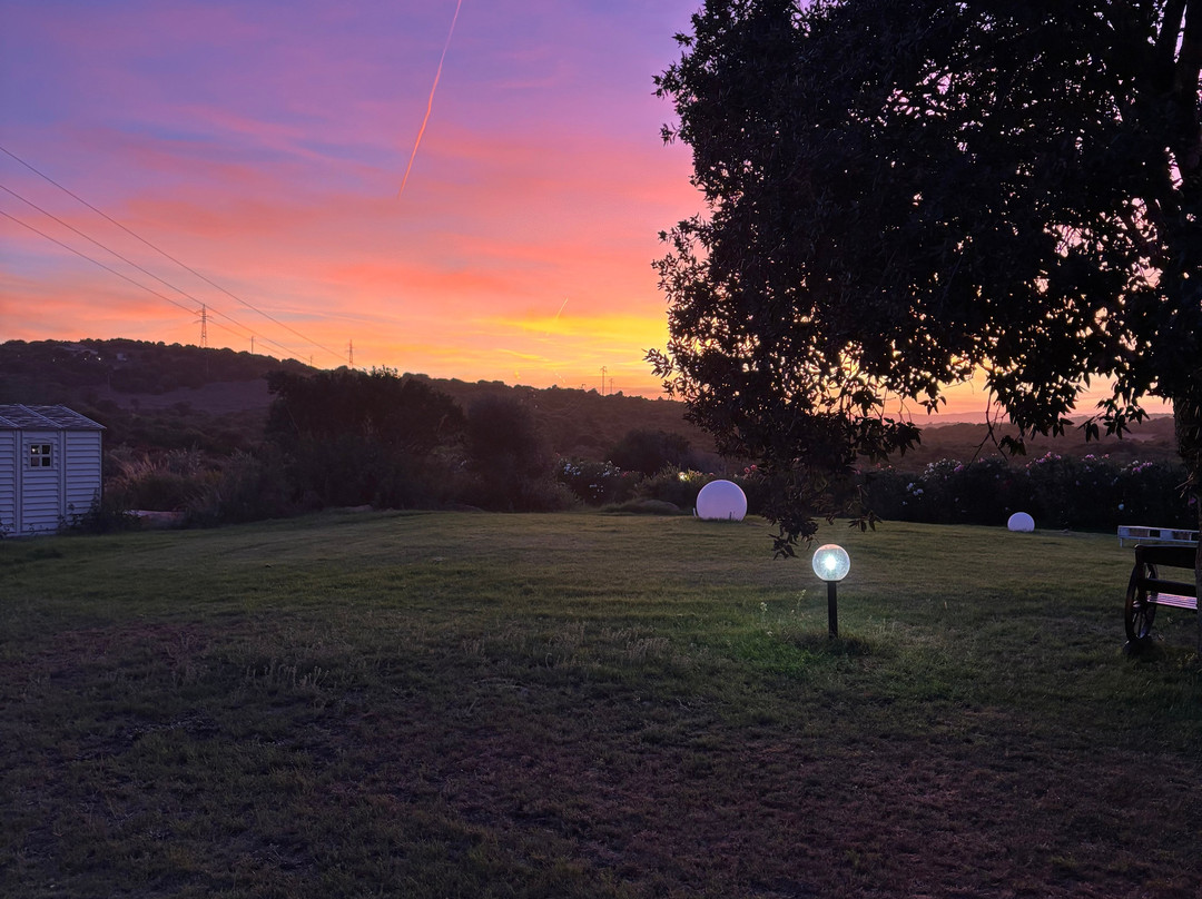 Tenute Filigheddu Palau, Sardegna Italia-帕劳必去景点