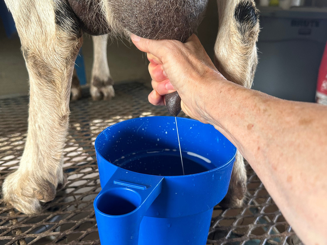 Haleakala Creamery-库拉必去景点