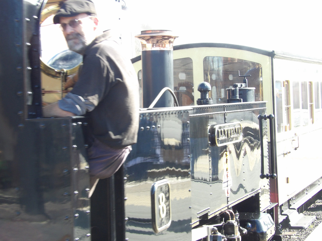 Vale of Rheidol Railway-阿伯里斯特威斯必去景点