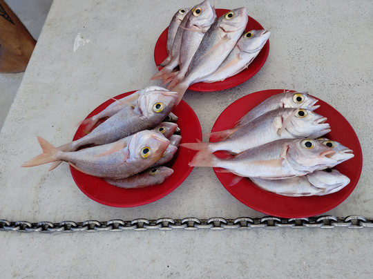 Captain Tziros Fishing Trips Corfu