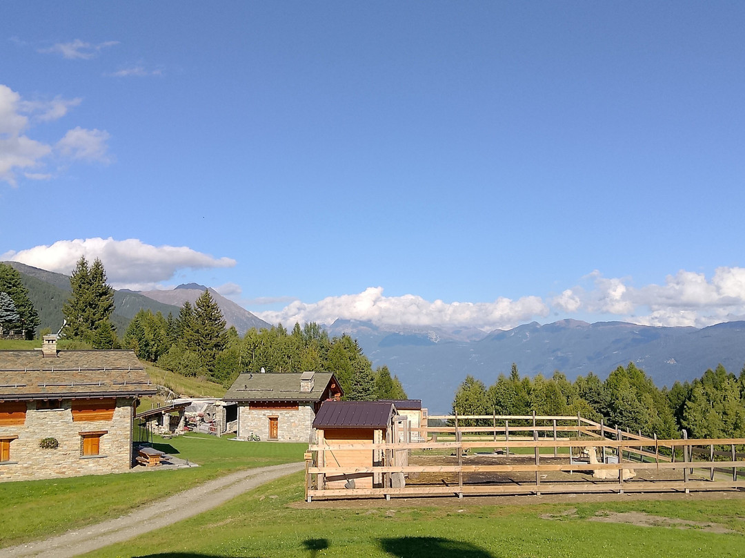 Chalet Baita del Sole主图