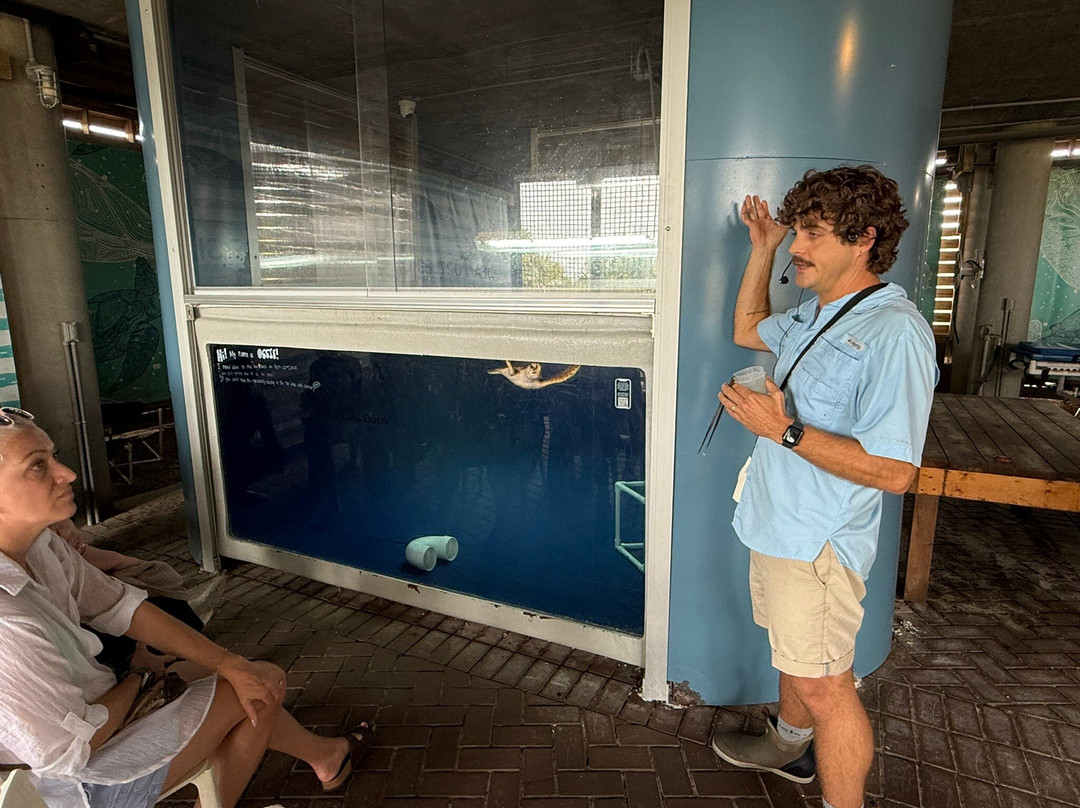 Tybee Island Marine Science Center-泰碧岛必去景点