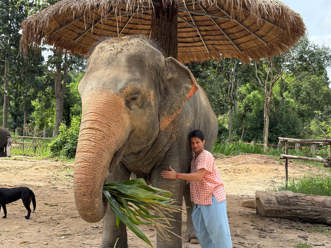 Maerim Elephant Sanctuary-夜林必去景点