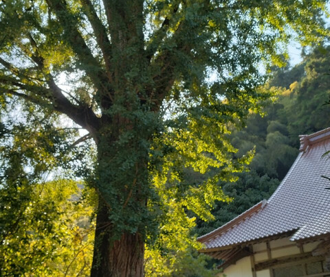 Chokoji Temple