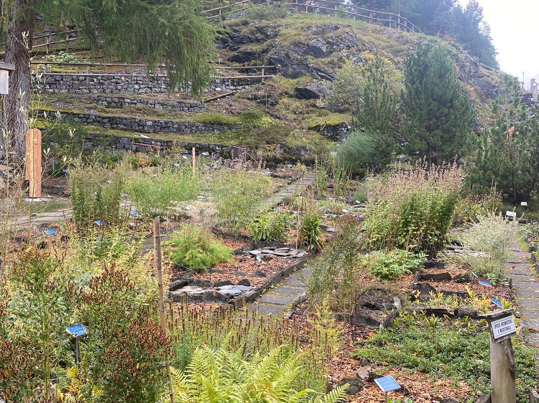 Giardino Botanico Alpino "Rezia"-博尔米奥必去景点