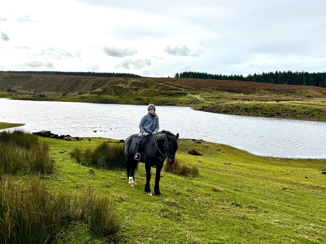 Bespoke Equestrian Ireland-都柏林必去景点