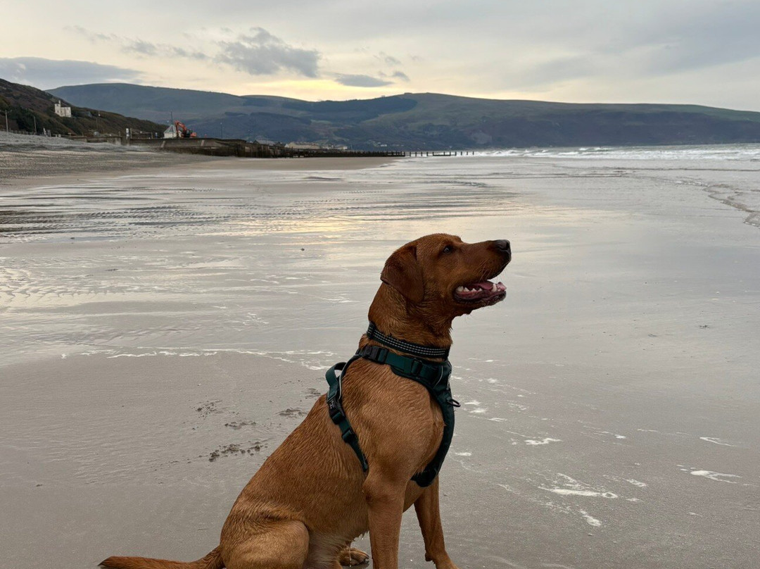 Barmouth Beach-Barmouth必去景点