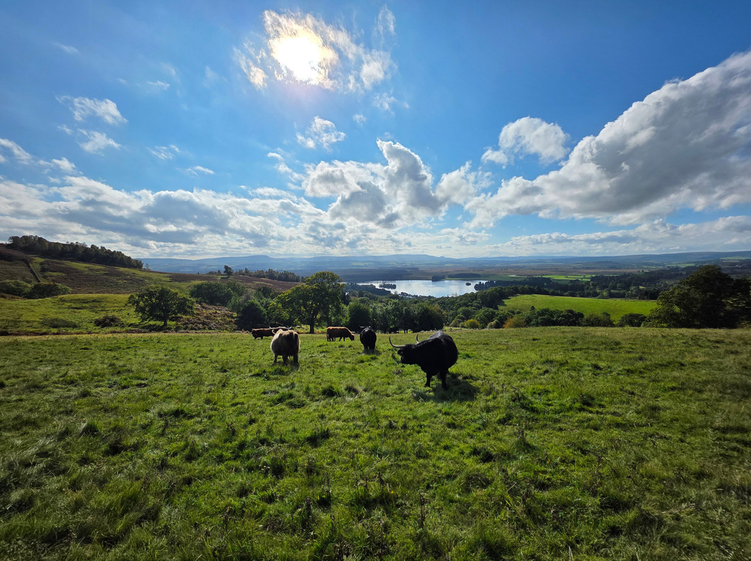 Nether Glenny Farm - Coos and Views-斯特灵必去景点