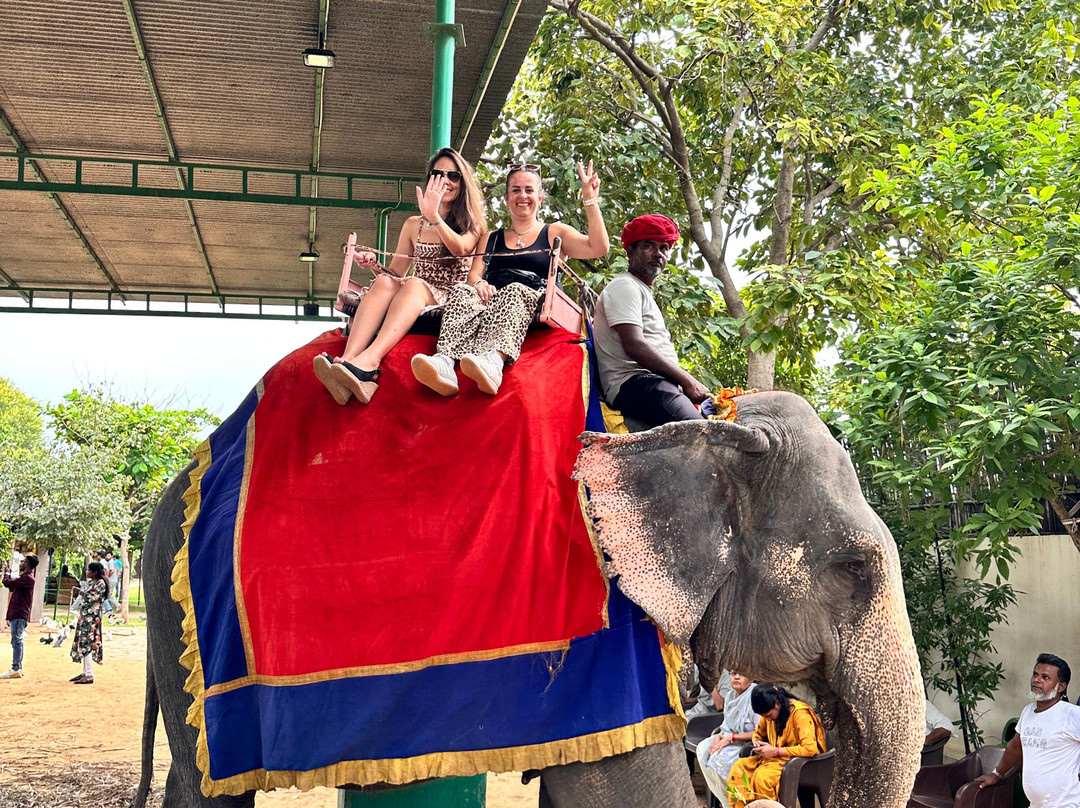 India's Invitation-斋蒲尔必去景点