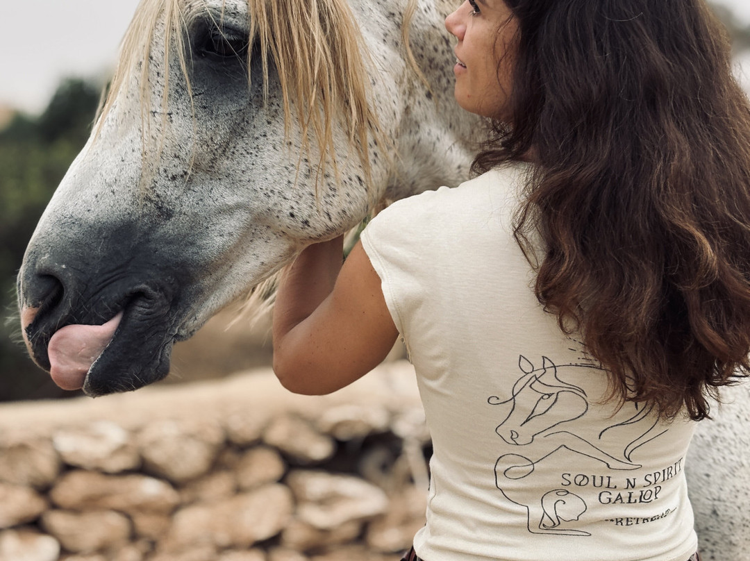 Cheval Essaouira-索维拉必去景点