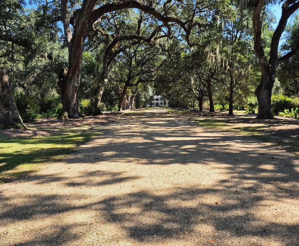 Rosedown Plantation State Historic Site-Saint Francisville必去景点