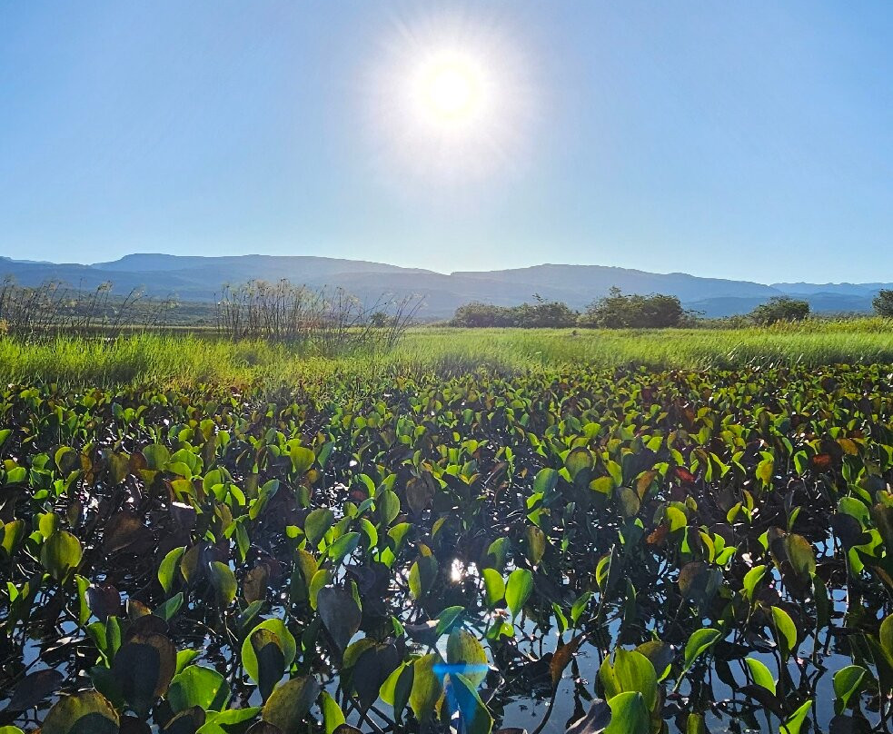 Fazenda Marimbus-迪亚曼蒂那国家公园必去景点
