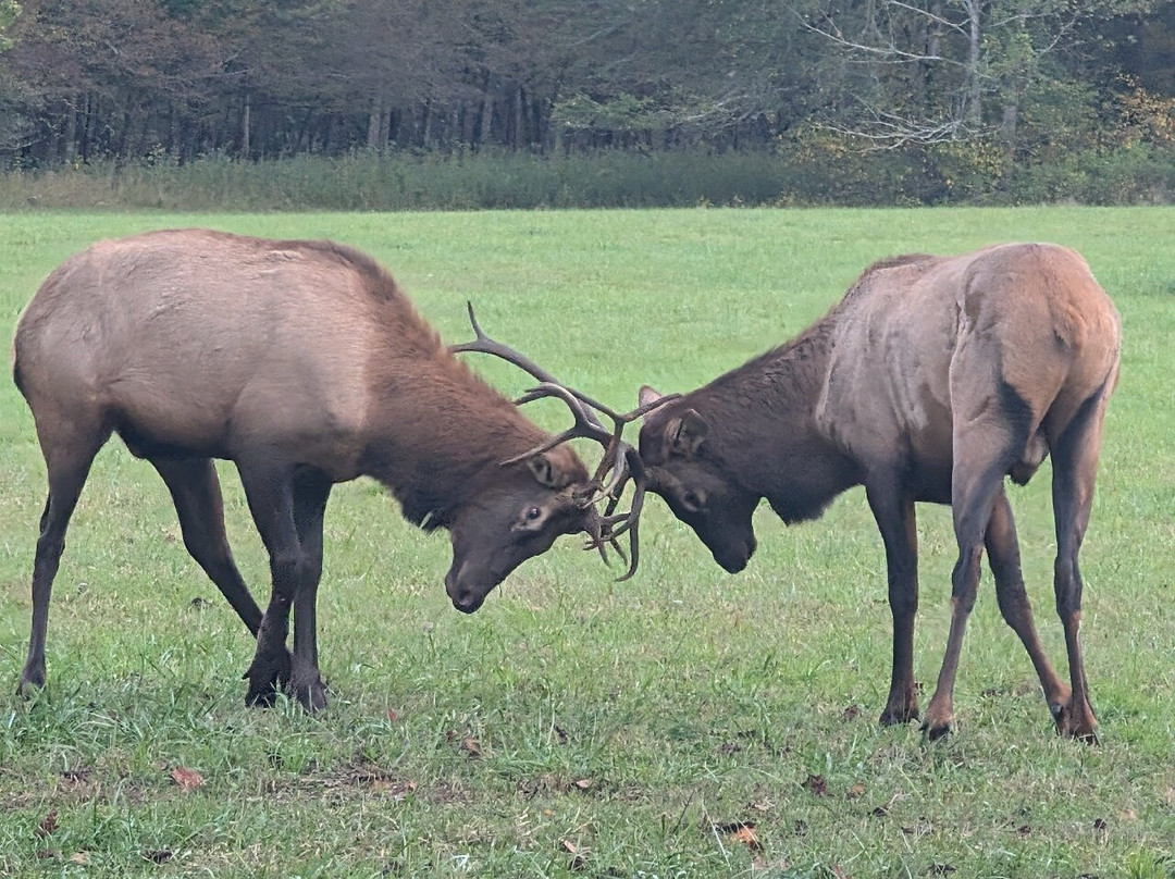 Oconaluftee Visitor Center-大雾山国家公园必去景点