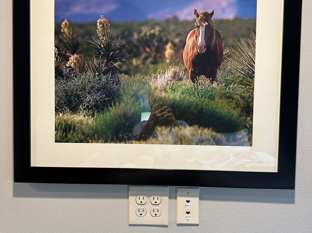 My Place Hotel-Carson City/Reno, NV主图