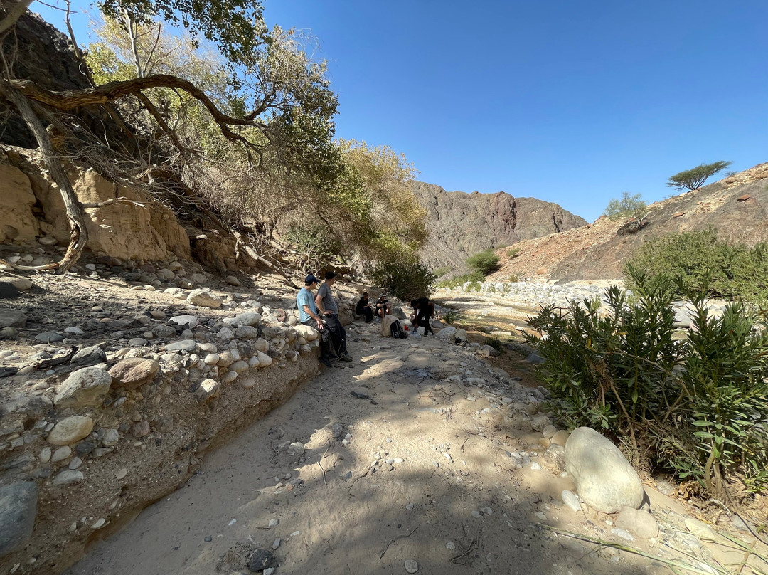 Jordan Trail Adventures-Dana必去景点