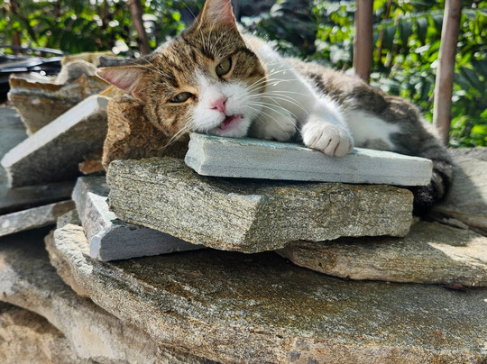 Naxos Hiking-纳克索斯必去景点