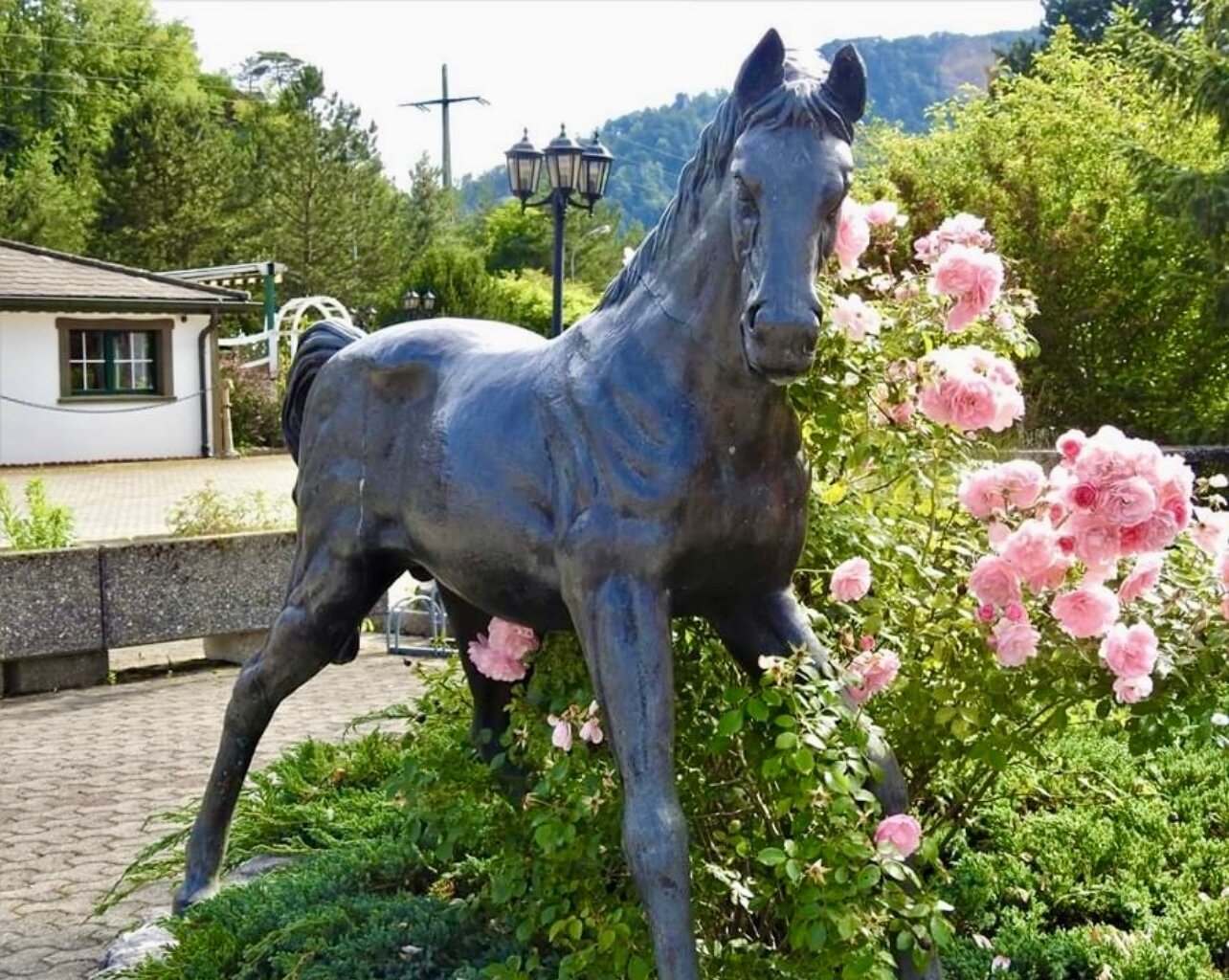 Hôtel Le Cavalier-官方