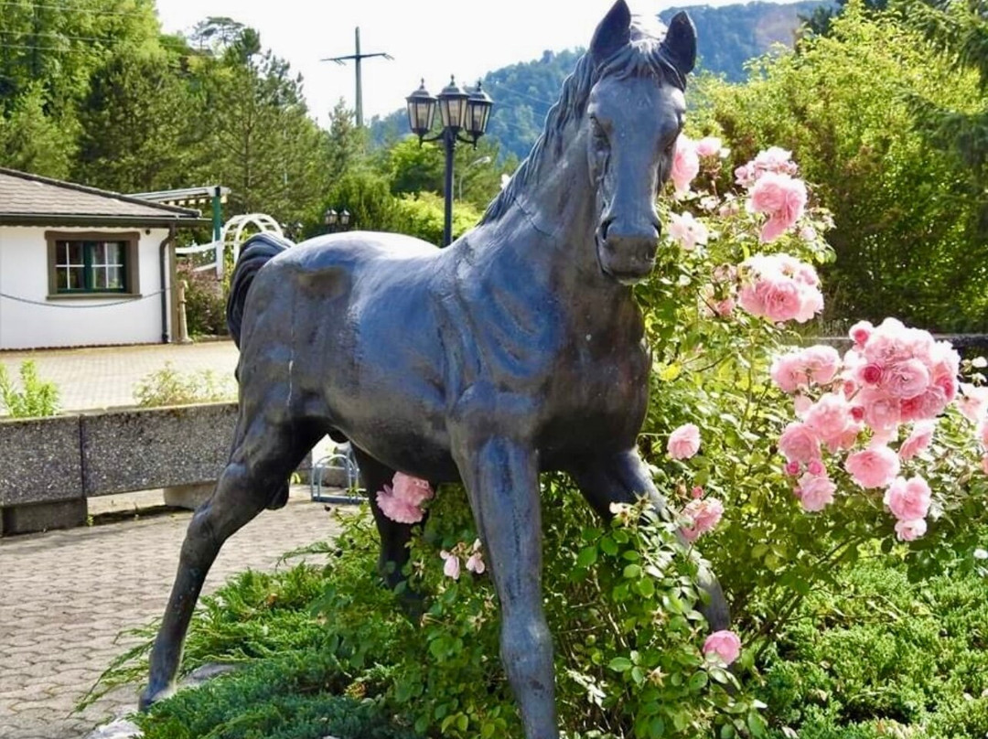 Hôtel Le Cavalier主图