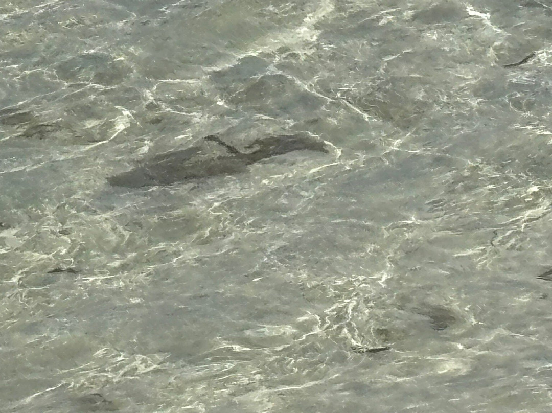 Blue Sea Divers Sainte-Anne-Sainte Anne Island必去景点