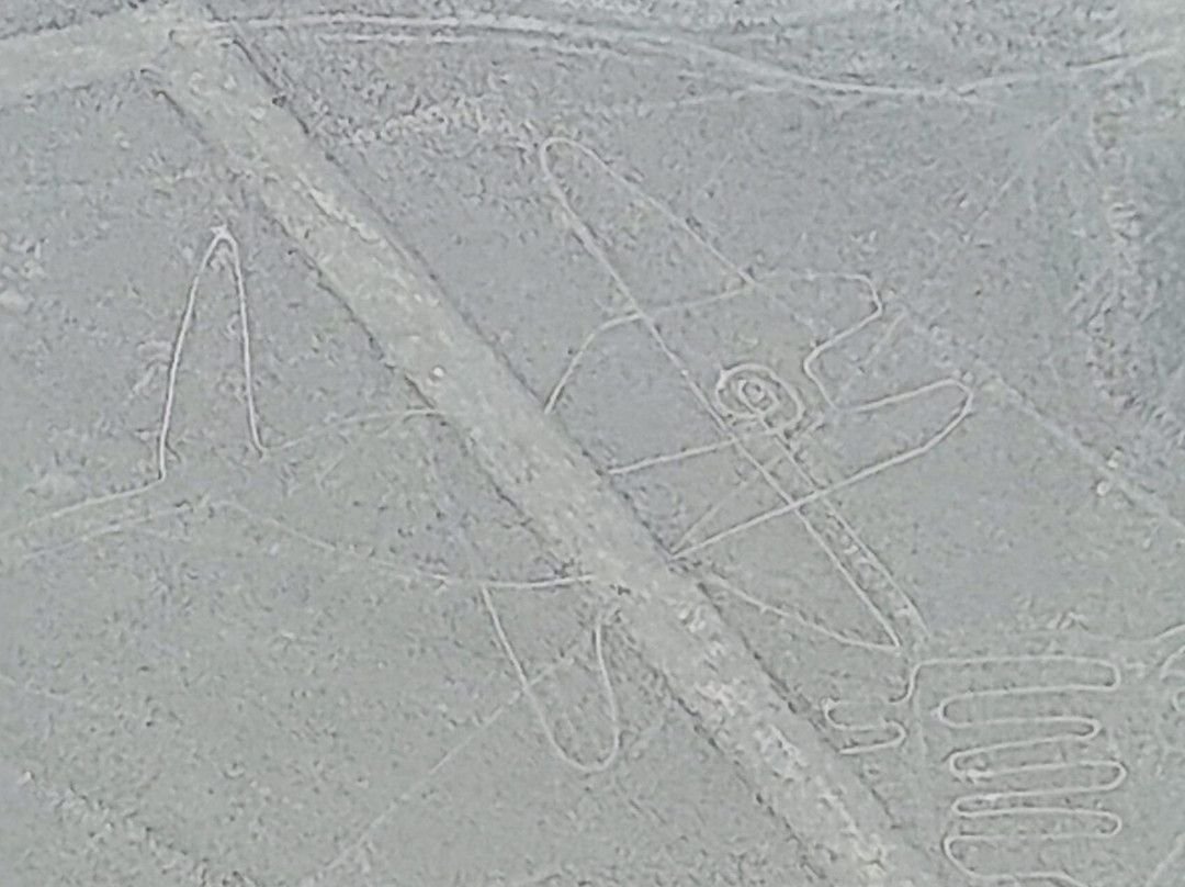 Movil Air-纳斯卡必去景点