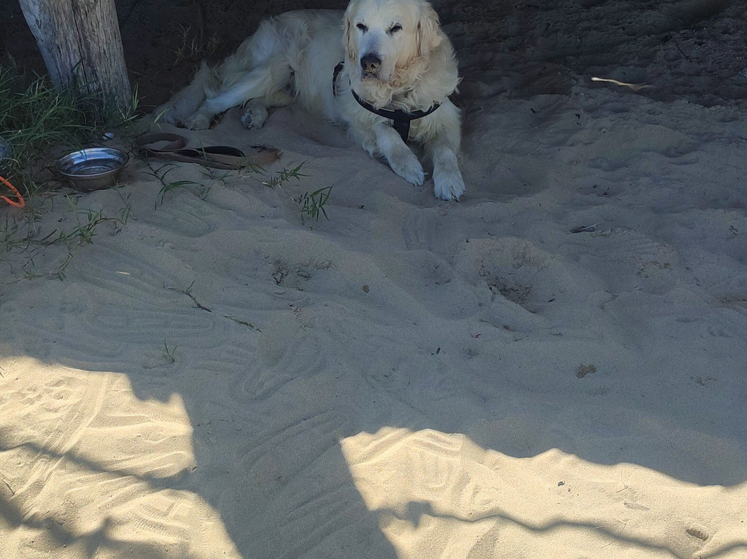 Zio Tonino B&B主图