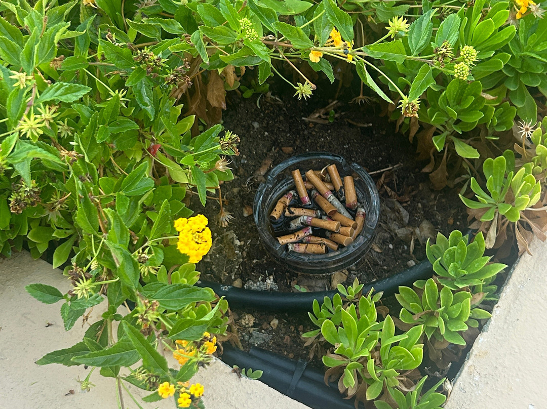 Grecotel Marine Palace & Aqua Park主图