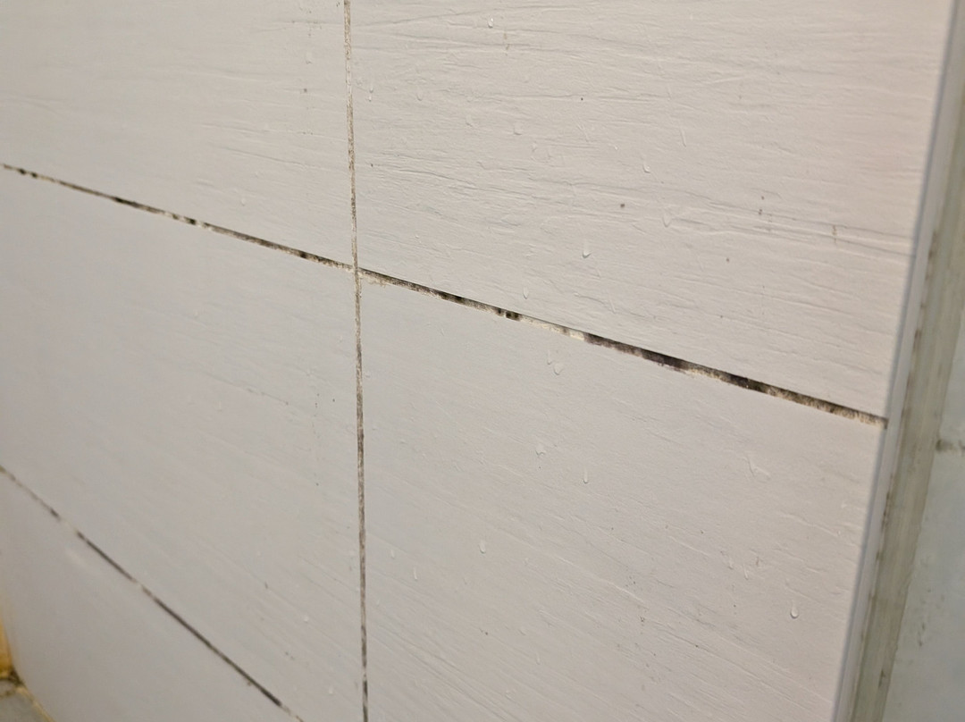 Sunrise Hanoi Hotel主图