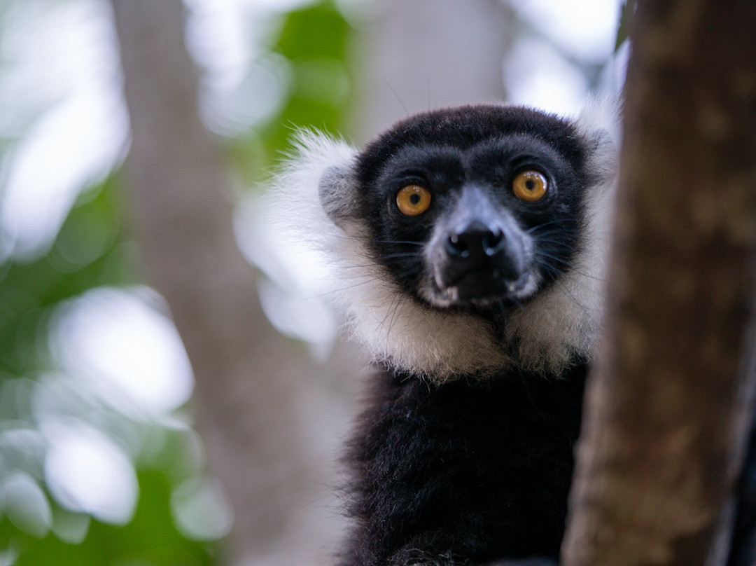 Océane's Dream-Ambatoloaka必去景点