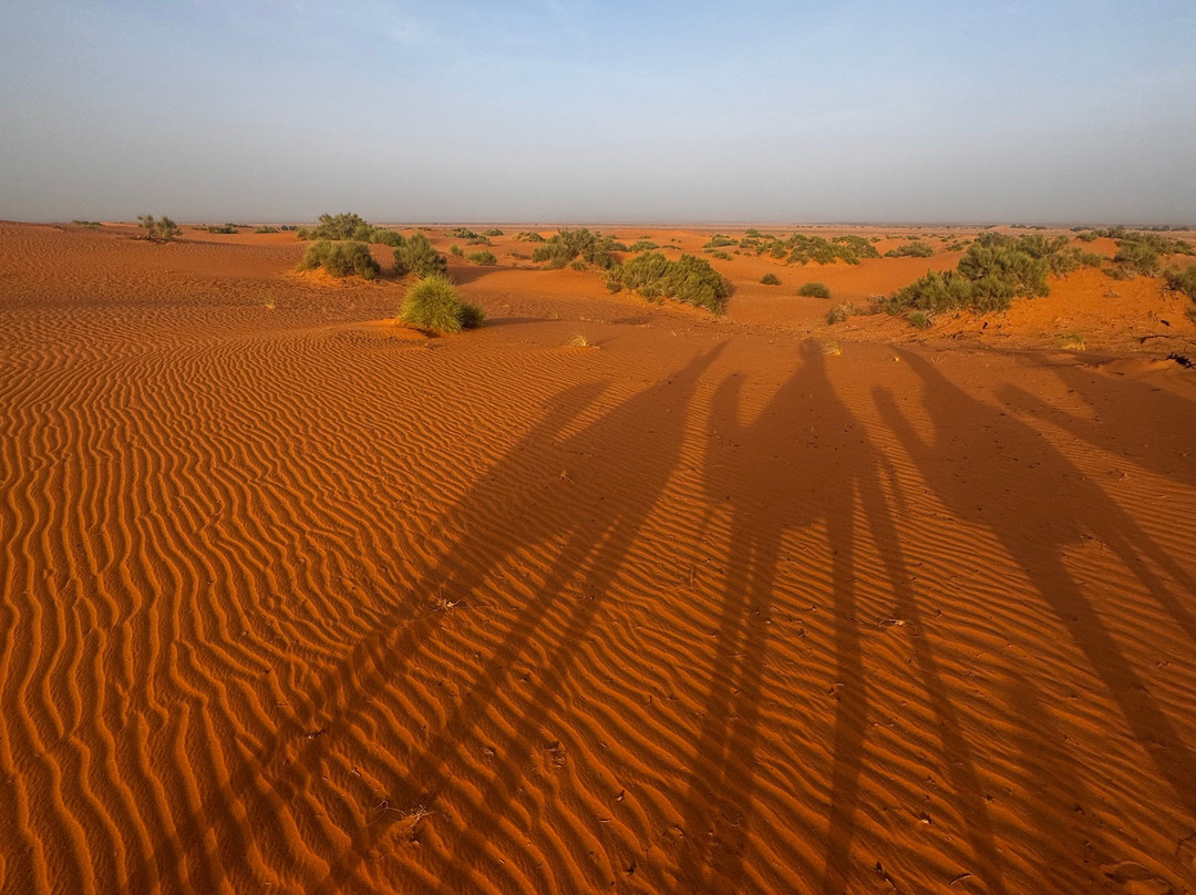 Holiday Morocco Tours-卡萨布兰卡必去景点