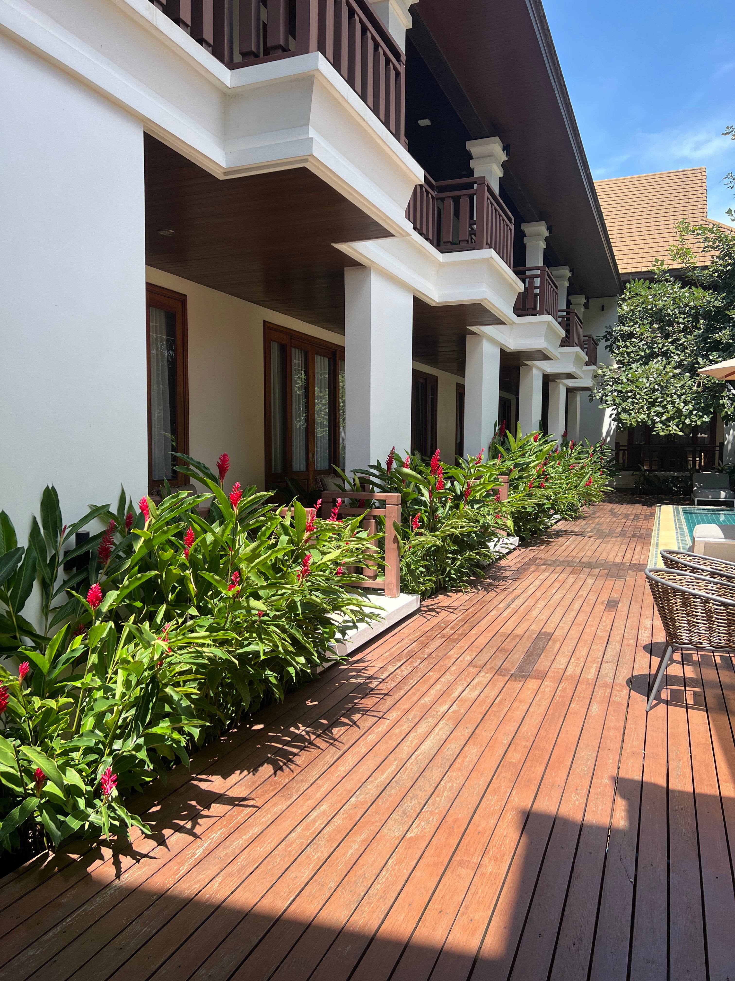 雅典娜饭店-官方