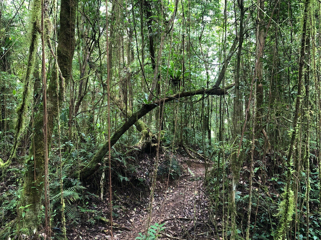 Jaya Trekker-Tetebatu必去景点