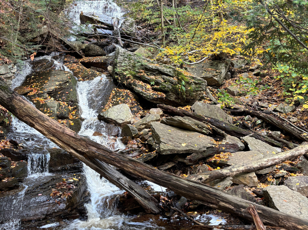 Lye Brook Falls-曼彻斯特必去景点